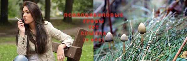 герыч Михайловск
