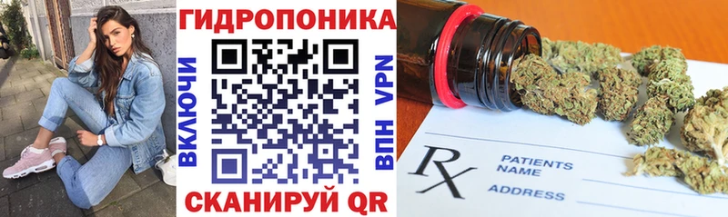 Купить закладки  Нелидово  МАРИХУАНА сатива 